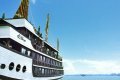 Cruise