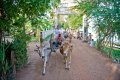 Excursion in Cambodia