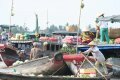 Floating Market