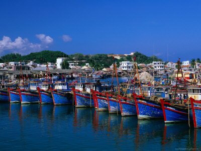 fishing-fleet-in-harbour-nha-trang-vietnam