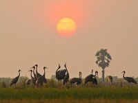 Private Sampan Cruise Saigon To Phnom Penh
