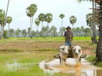 Toum Tiou Cruise Siem Reap To Phnom Penh