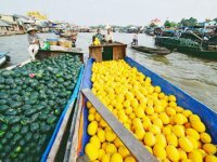 Fruite_Boat.jpg