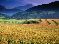 Mai Chau Tour Package From Hanoi