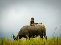 Ho Chi Minh Family Holiday Package