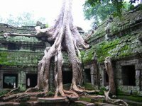 Angkor Wat Discovery Tour