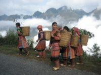 Sapa Holiday