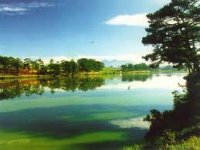 Private Dalat Tour Package