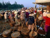 Vietnam Holiday Deals 