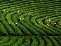 Vietnam Holidays In 2016/ 2017